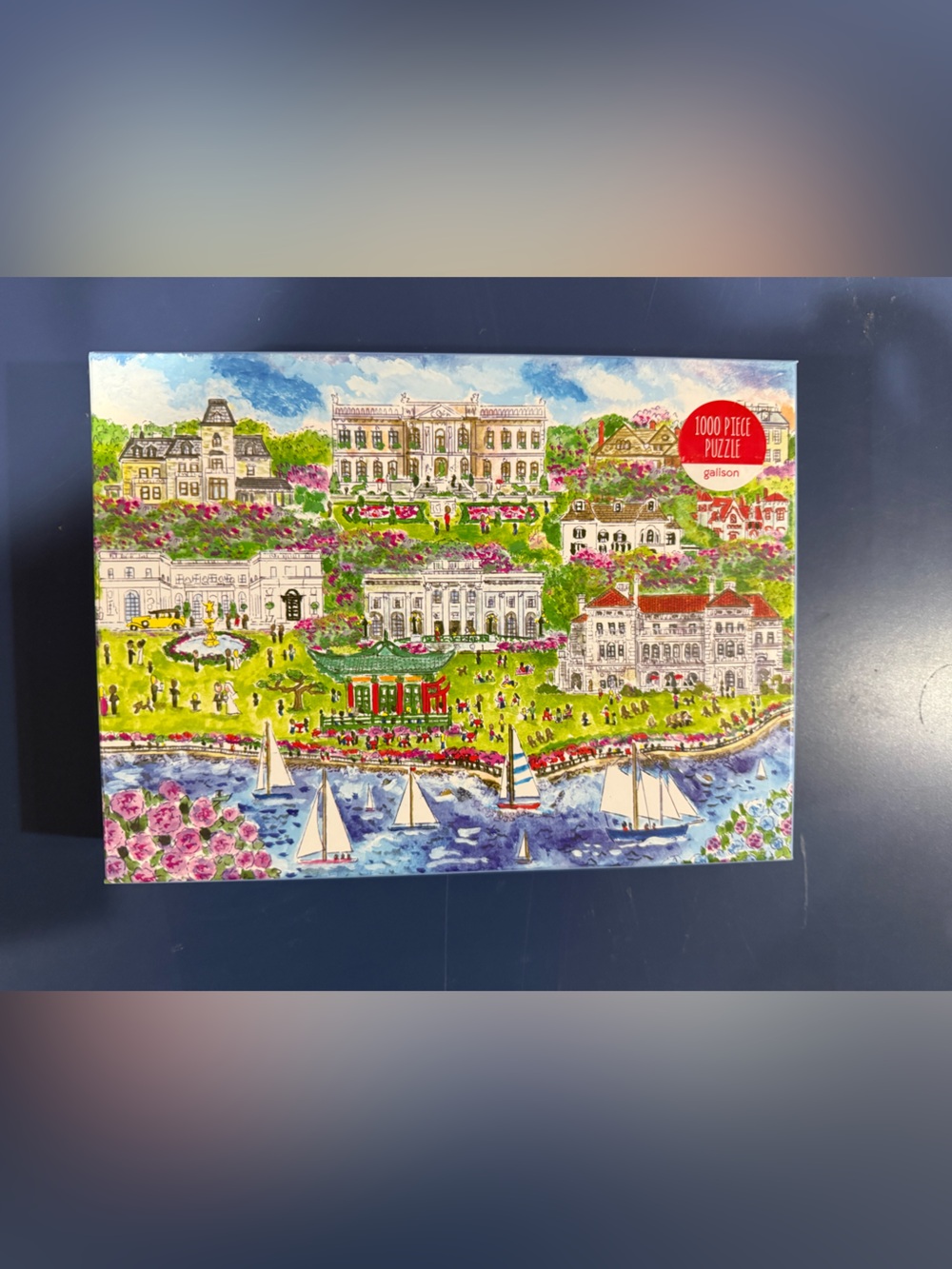 Galison 1000 piece puzzle